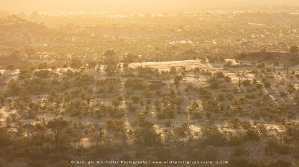Copyright Stu Porter Photography Mashatu 2025