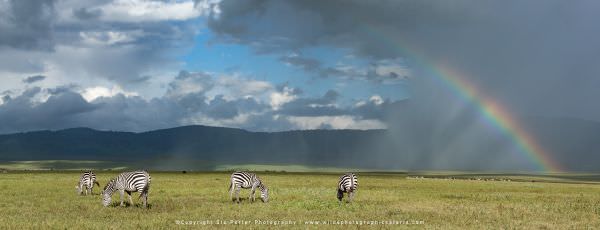 Ngorongoro Crater Tanzania photo trip with wild4