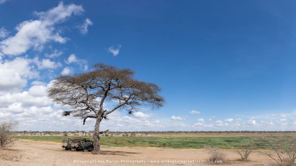 Stopping for Breakfast at the edge of the Big Marsh in the Ndutu area - Tanzania © Stu Porter Africa