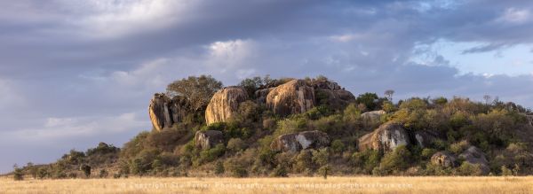 Granite Kopjes, Serengeti Wild4 African Photo safaris