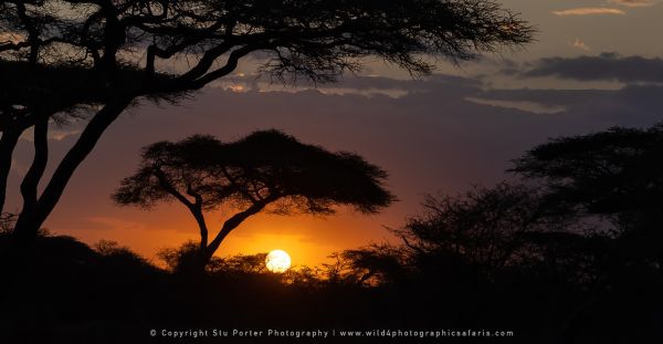 Sunset, Ndutu Wild4 African Photo safaris