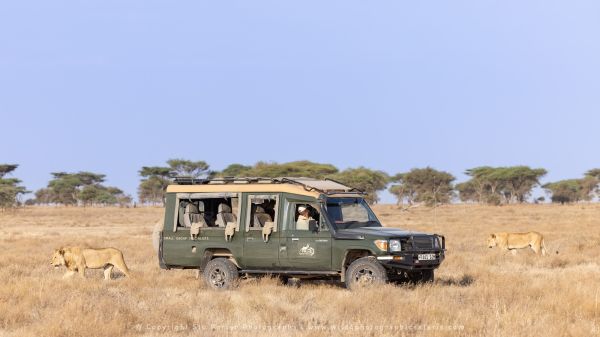 Safari vehicle, Ndutu African Photographic tours with Stu Porter