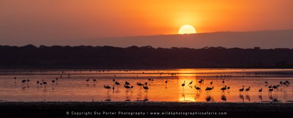 Sunrise at Lake Ndutu, Ndutu African Photographic tours with Stu Porter