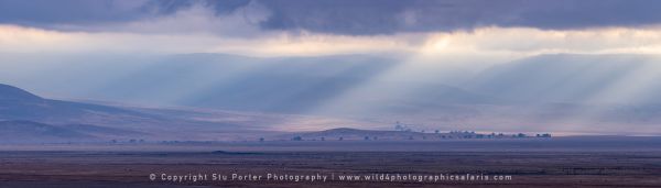 Ngorongoro Crater, Tanzania Wild4 African Photo safaris