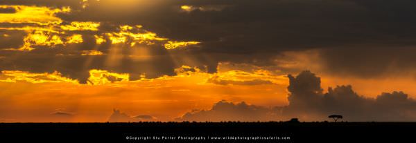 Sunset, Masai Mara, Kenya. Stu Porter Photography Tour