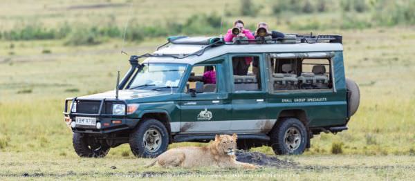 Wild4 Photo Safari vehicle at a Lion sighting, Masai Mara, Kenya. African Wildlife Photo Safari