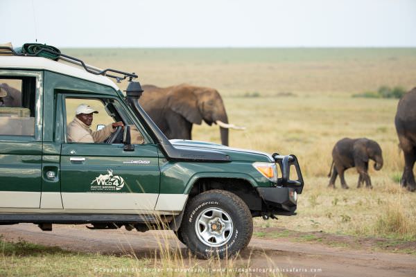 James with a herd of Elephants, Masai Mara, Kenya. Wildlife Photography