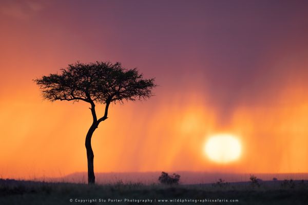 Sunset rain, Photography Tours with Stu Porter Kenya