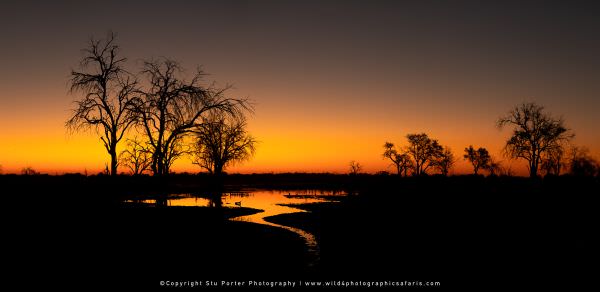 Sunset at Leopard Lagoon Khwai Concession, Botswana. Small Group Photo Safari Specialists. Panorama