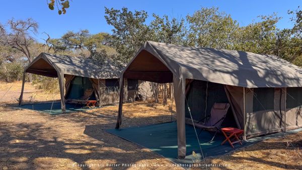Tented safari camp in Botswana bush by Stu Porter, Wild4 Photo Tours