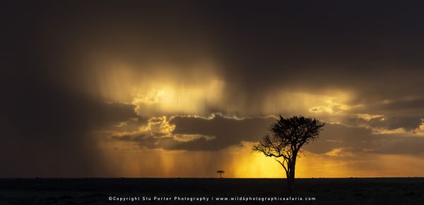 Stu Porter Photography Copyright Kenya Photo Safari with WILD4 African Photographic Tours