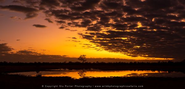 Sunrise, Botswana, by Stu Porter