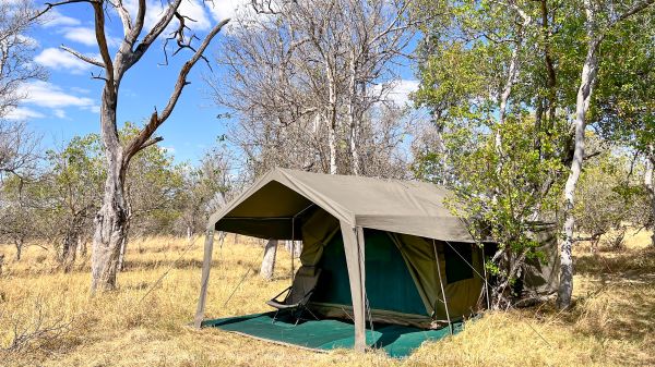 WILD4 Photo Tours Tented Botswana