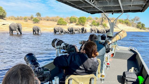 Photo Boat Pangolin Chobe River, Botswana, by Stu Porter