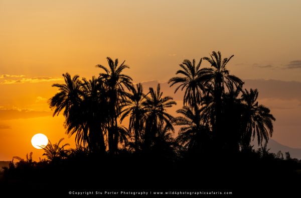 Sunset Amboseli Stu Porter Photography