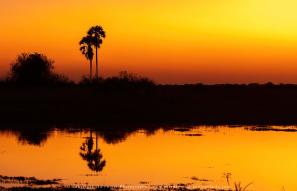 Sunset Stu Porter African Photo Safaris