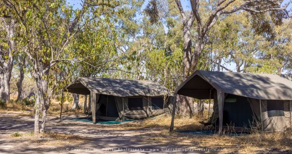 Tents Wild4 African Photographic Tours