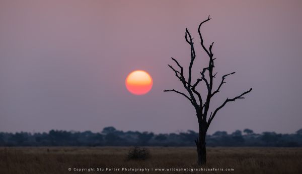 sunset Wild4 African Photographic Tours