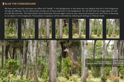 Bokeh wildlife panorama by Stu Porter Page 36