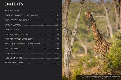 Bokeh wildlife panorama by Stu Porter table of contents
