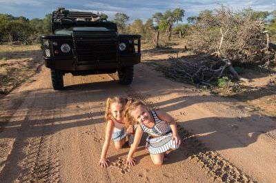 Lion tracks, Kids on safari South Africa