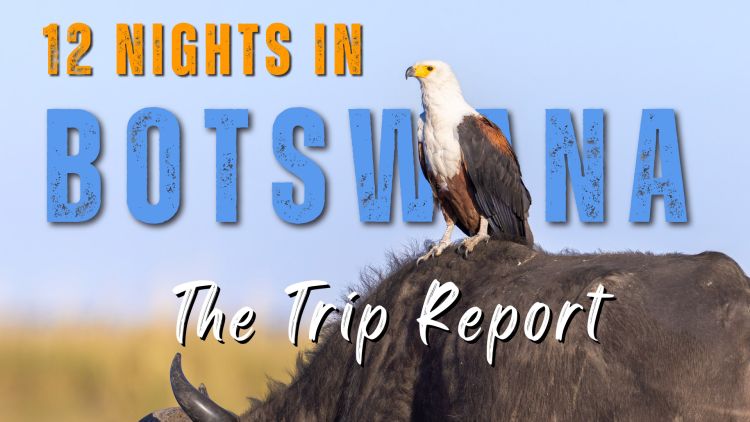 Botswana Photo Safari - 12 night itinerary teaser