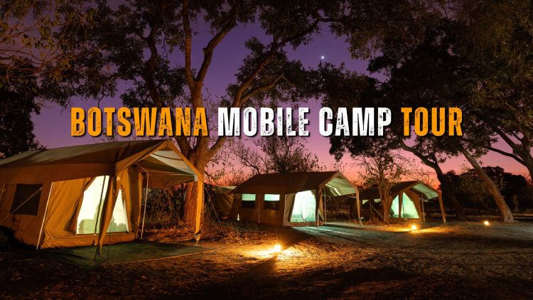 Everything you need to know about a Mobile Safari Camp