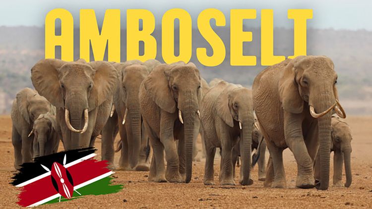 Amboseli with Villiers Steyn & Stu Porter > Video