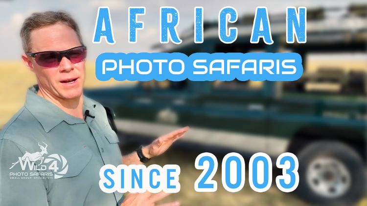 WILD4 African Photo Safaris - an intro by the SAFARI EXPERT > Video
