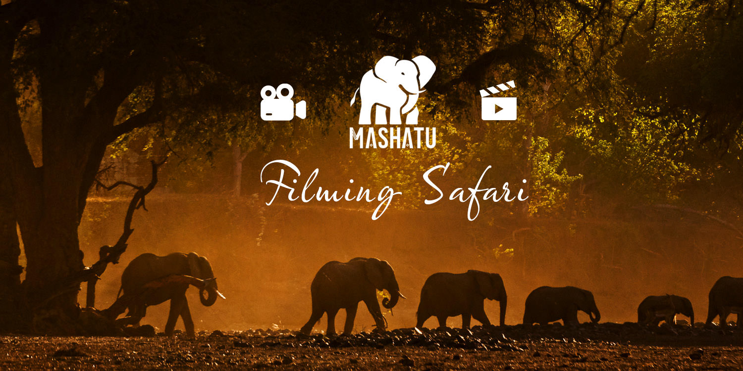 Mashatu / Kings Walden Filming Safari - May 2026