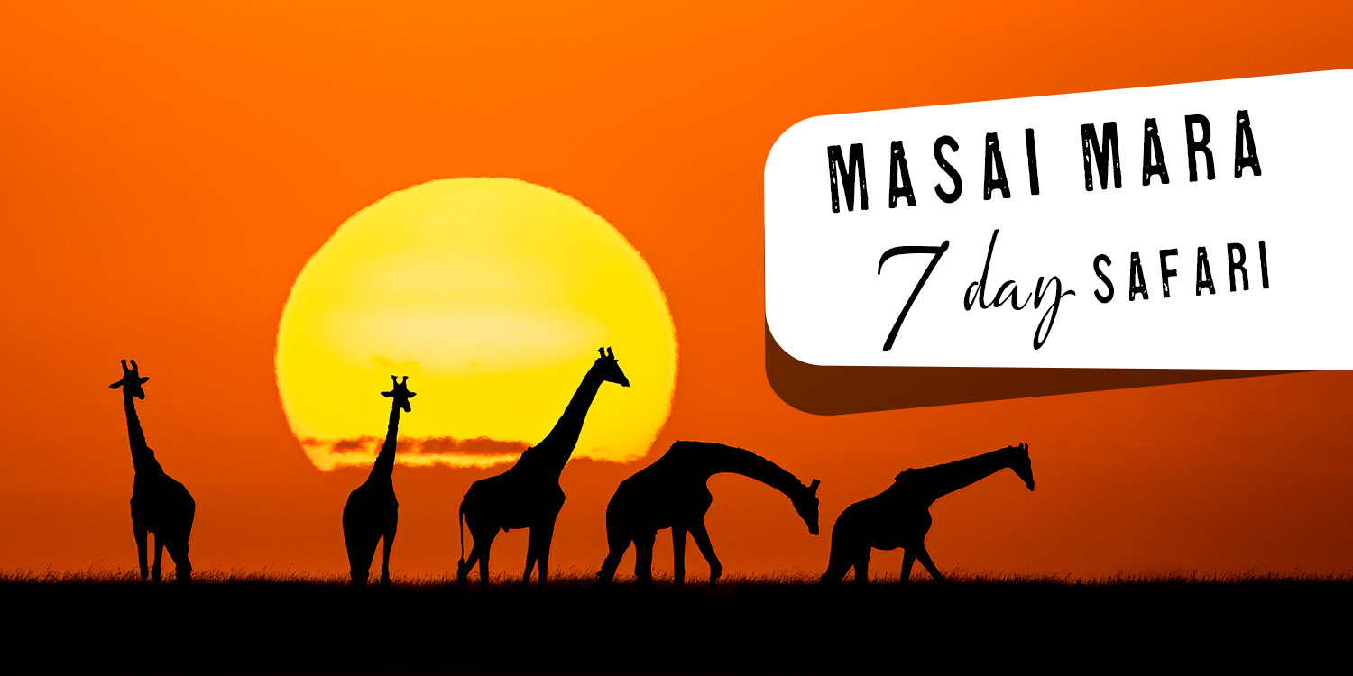 Masai Mara 7 day Photo Safari - March 2024
