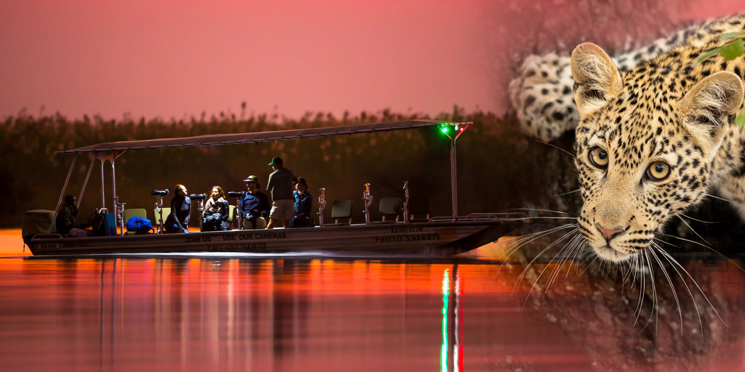 Chobe River & MalaMala Photo Safari - September 2024
