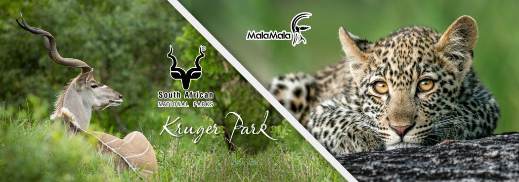 Kruger National Park & MalaMala combo Photo Safari - Oct/Nov 2026