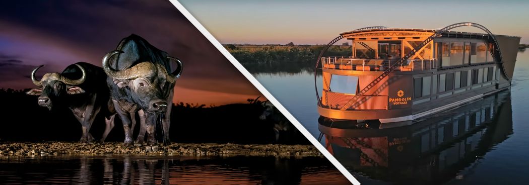 Zimanga & the Chobe River Photo Safari - Sept 2027