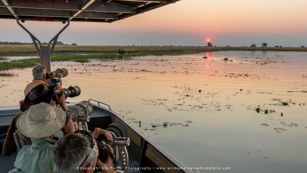 Custom Photographic Safaris with WILD4 Transport 1