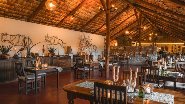 Ndutu & Gol Kopjes - Big Cats, Migration Herds & Green Season Photo Safari Accommodation 1