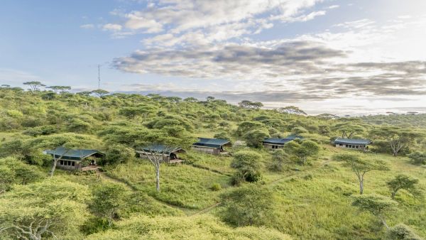 Ndutu & Gol Kopjes - Big Cats, Migration Herds & Green Season Photo Safari Accommodation 1
