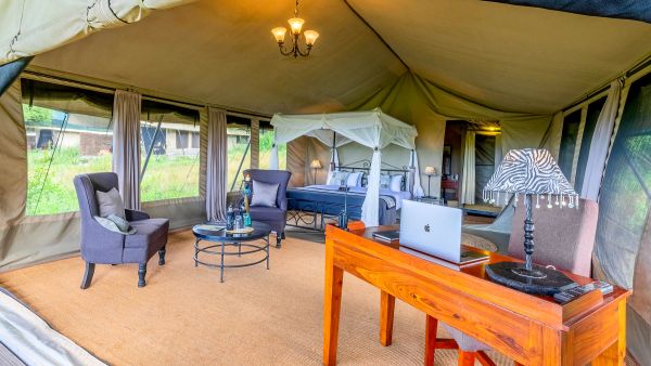 Ndutu & Gol Kopjes - Big Cats, Migration Herds & Green Season Photo Safari Accommodation 1