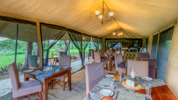 Ndutu & Gol Kopjes - Big Cats, Migration Herds & Green Season Photo Safari Accommodation 1