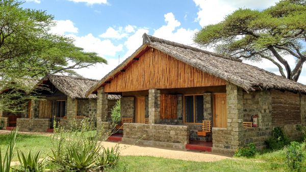 Ndutu & Gol Kopjes - Big Cats, Migration Herds & Green Season Photo Safari Accommodation 1