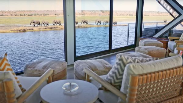 Zimanga & the Chobe River Photo Safari - Sept 2027 Accommodation 1