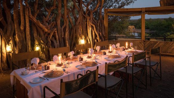 Mashatu, MalaMala & Kruger Hotel - Wildlife Filming Safari - Nov 2027 Accommodation 1