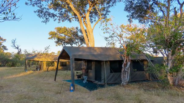 Okavango Delta, Savuti & Chobe River Photo Safari - July 2023 Accommodation 1