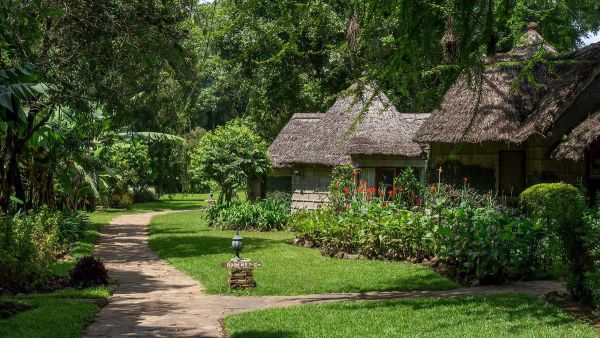 Ndutu & the Gol Kopjes Wildlife Filming Safari - Tanzania - Feb/Mar 2027 Accommodation 1