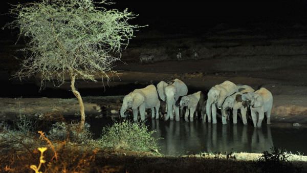 Tsavo, Amboseli & Masai Mara Photo Safari - June 2024 Accommodation 1