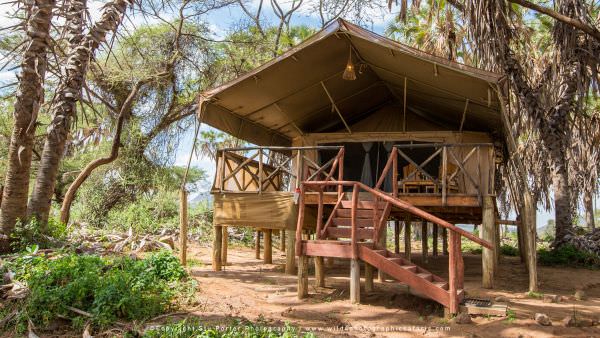 Ol Pajeta & Samburu Photo Safari - October 2023 Accommodation 1