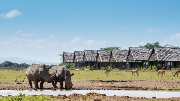 Ol Pajeta & Samburu Photo Safari - Sep/Oct 2024 Accommodation 1