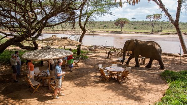Best of Kenya Samburu, Lake Nakuru & Masai Mara Photo Safari - Sep 2024 Accommodation 1