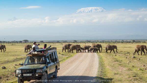 Amboseli, Ngorongoro Crater, Serengeti & Ndutu - March 2024 Transport 1