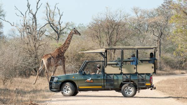 Custom Photographic Safaris with WILD4 Transport 1